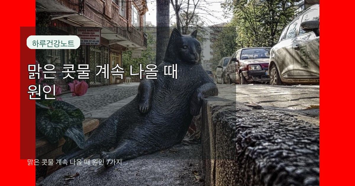 맑은 콧물 계속 나올 때 원인 7가지 대표 썸네일