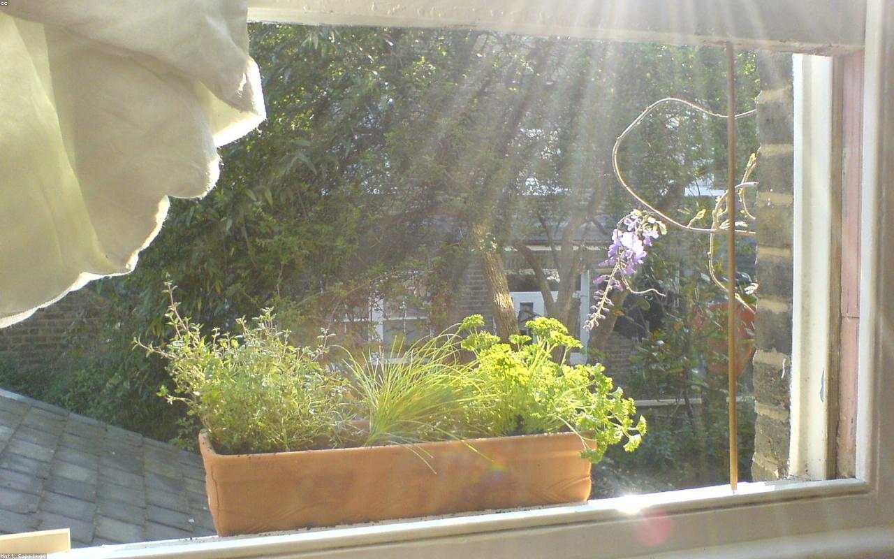 아침 재채기 실사 이미지 3