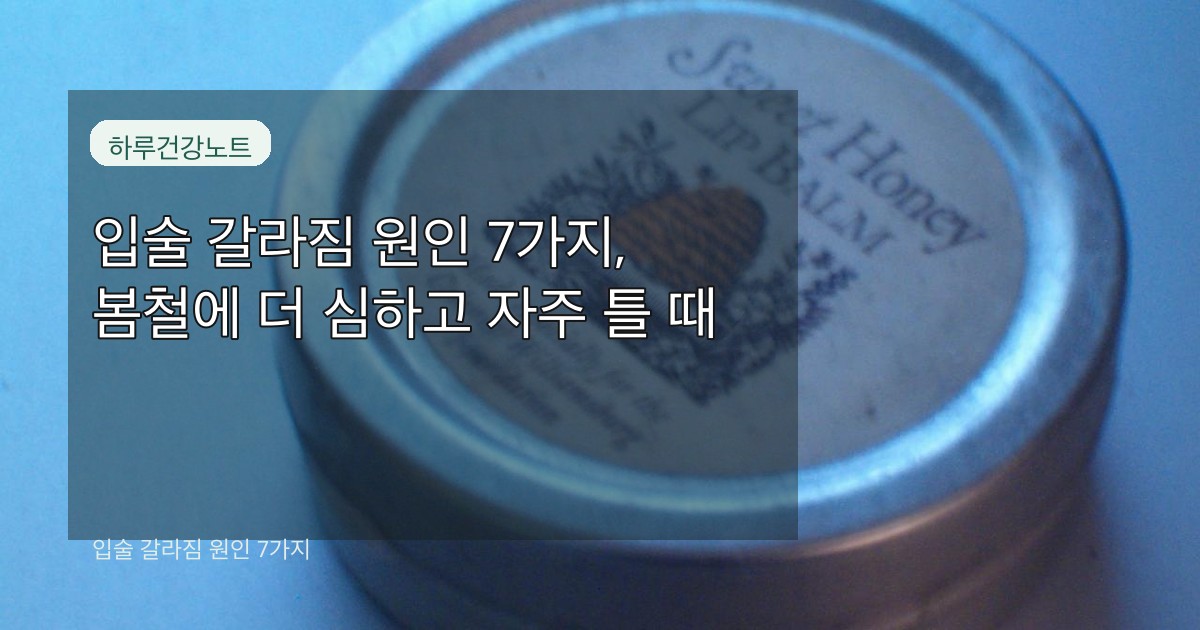 입술 갈라짐 원인 7가지 대표 썸네일
