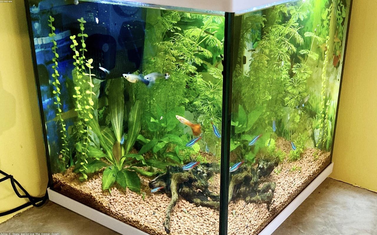 코 안 건조함 실사 이미지 3