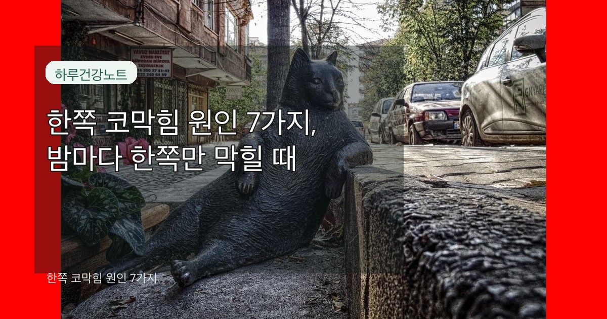 한쪽 코막힘 원인 7가지 대표 썸네일