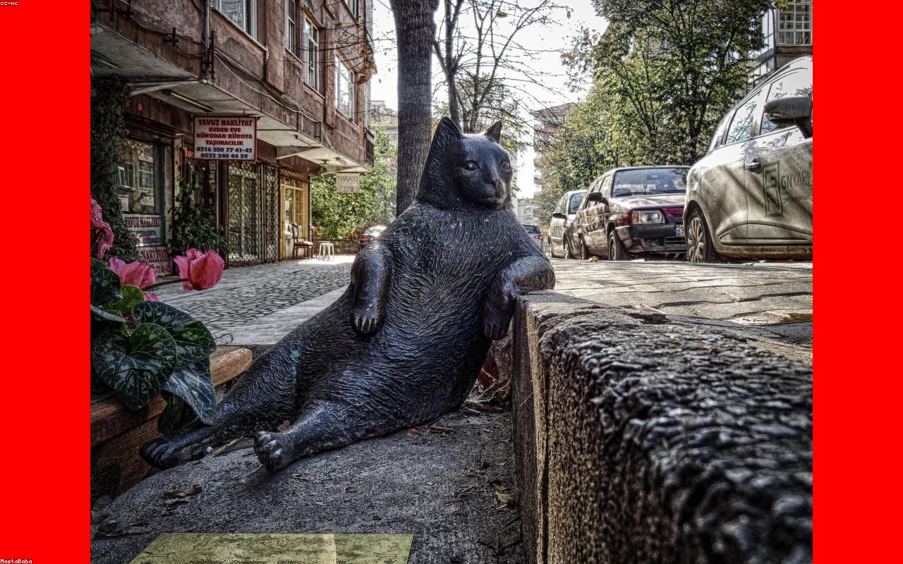 눈 밑 떨림 원인 7가지 이미지 3