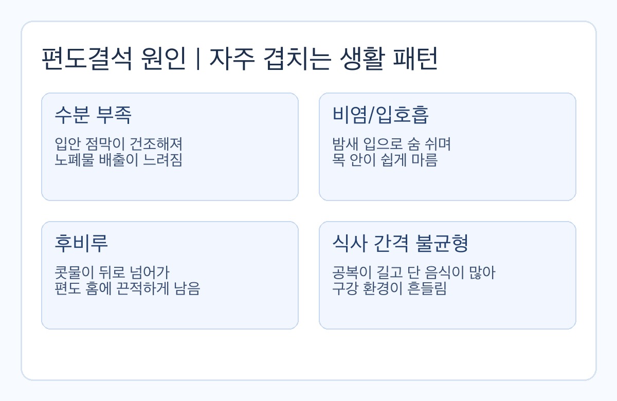 편도결석 원인과 생활 패턴 점검 인포그래픽